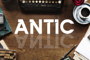 Antic: Bold, Big, Unmistakable