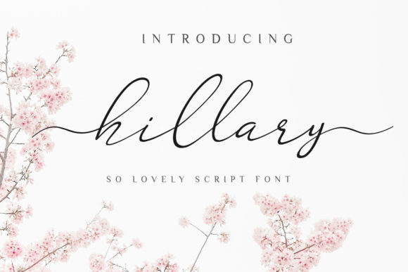 Hillary Font: Organic Elegance Meets Design Versatility